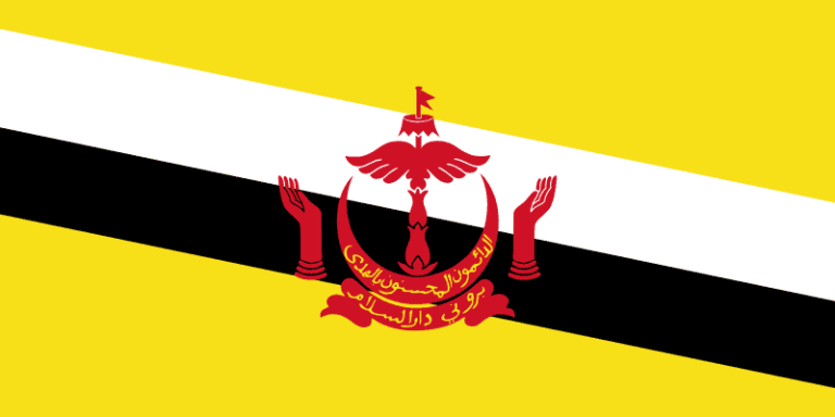 bandera de la guerra