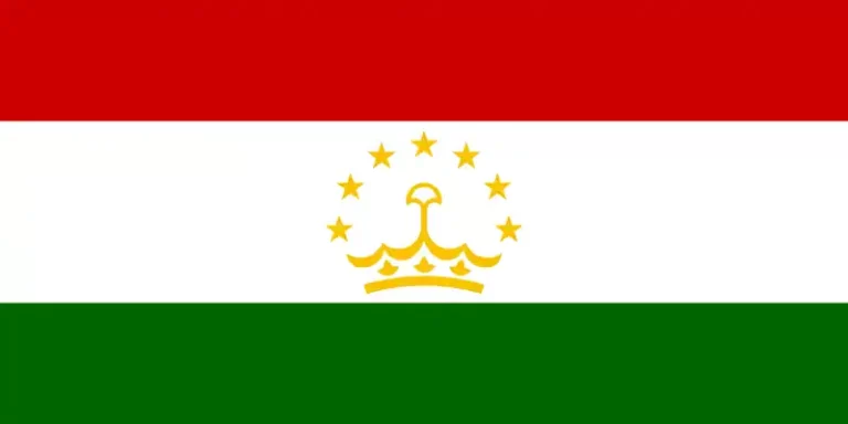 bandera de nose